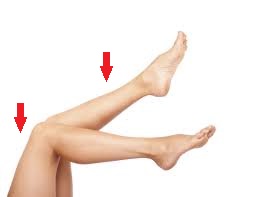 leg
